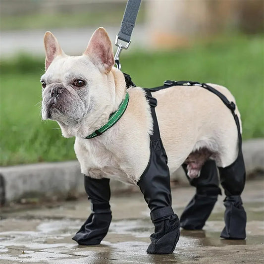 PawGuard Waterproof Boots
