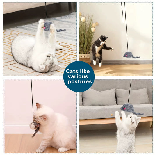 Interactive Door-Hanging Cat Toy – Stress Relief & Entertainment for Indoor Cats and Kittens
